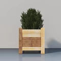Bonsai Plant in Wooden Square Planter with Lush Green Foliage for Modern Indoor Decor