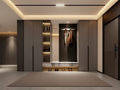 Modern Entryway Design With Dark Wood Cabinets Hanging Area Shoe Storage And Recessed Lighting Rug 3d model