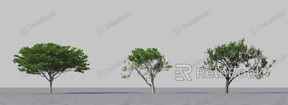 modeling tree model