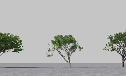 modeling tree 3d model