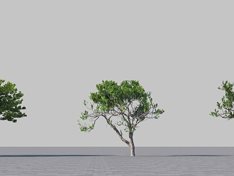 modeling tree 3d model