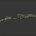 Ancient Chinese Bronze Dragon Artifact With Intricate Carved Details And Green Patina Surface