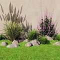 Tall Purple Flowers and Green Grasses in Lawn with Stones and Gray Wall