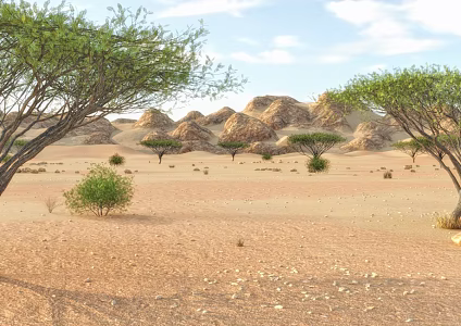 Tropical Desert Depression Africa Geographical Environment Terrain Desert Background Material Sand Dune National Geographic Discovery 3d model