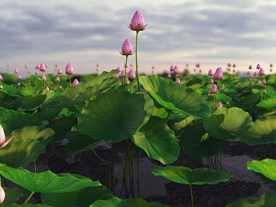 Modern lotus leaf 3d model
