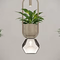 Modern Wooden Frame Chandelier With Geometric Glass Shade And Potted Plants On Gray Wall