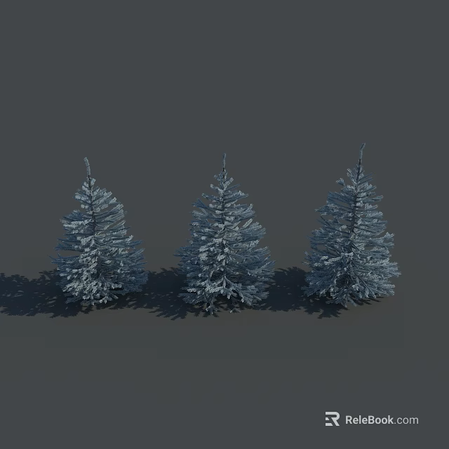 Three Snow Covered Pine Trees In Natural Winter Setting Against Gray Background 3d model