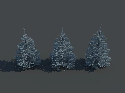 Three Snow Covered Pine Trees In Natural Winter Setting Against Gray Background 3d model