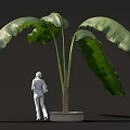White Figure Standing Next to Large Leaf Potted Plant on Dark Background