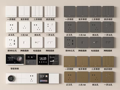 Different Types of Switch Panels with White Gray Brown 5-Hole USB Network Sockets and Switches 3d model