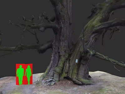 Plant Painting Featuring Ancient Tree Thick Trunk Branches Mossy Roots Green Silhouettes in Red Frame 3d model