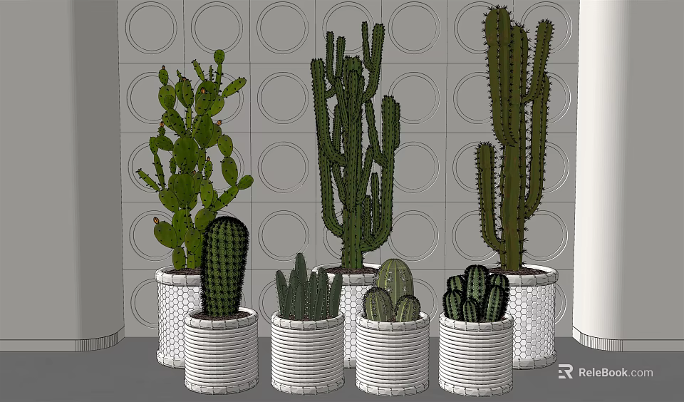 Indoor Cactus Plants In White Woven Pots Against Circular Patterned Wall 3d model 