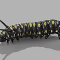 Vibrant Reptile With Black Body And Yellow Spots Long Antennae On Gray Surface