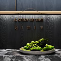 Bonsai Plant with Moss Covered Stones on Marble Countertop and Black Wooden Background