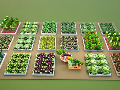 Various Colorful Bonsai Potted Plants Arranged In Trays With Fresh Green Vegetables 3d model