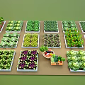 Various Colorful Bonsai Potted Plants Arranged In Trays With Fresh Green Vegetables