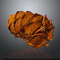 Detailed Orange Scaly Pine Cone Structure With Reflective Surface On Dark Background