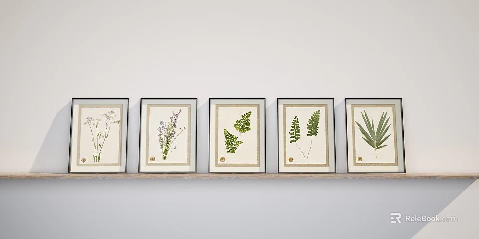 Framed Botanical Prints With Various Plant Species Displayed On Light Wall 3d model 