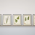 Framed Botanical Prints With Various Plant Species Displayed On Light Wall
