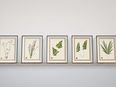 Framed Botanical Prints With Various Plant Species Displayed On Light Wall 3d model