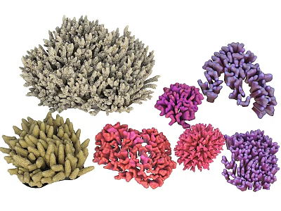 Vibrant Aquatic Plants Coral with Multiple Colors and Diverse Shapes 3d model