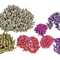 Vibrant Aquatic Plants Coral with Multiple Colors and Diverse Shapes