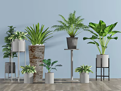 Indoor Potted Plants with Various Planters Ferns and Plant Stands on Wooden Floor 3d model