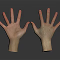 Realistic Open Hands Model Display With Detailed Fingers And Dark Background Reflection 3d model