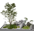 Indoor Landscape Design With Small Tree Decorative Stones Green Moss And Tiny Plants