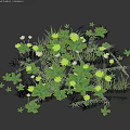 Vibrant Green Grass With Yellow Flowers And White Daisies In Natural Arrangement