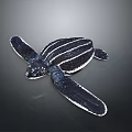 Black and White Striped Sea Turtle Reptile with Large Flippers on Gray Background