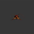 Red and Brown Cockroach With Long Antennae And Yellow Legs On Dark Background