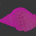 Aquatic Animal Conch Shell With Yellow And White Striped Spiral Pattern And Natural Texture