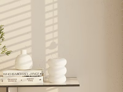 Decorative Ornament Set White on Shelf with Book and Green Plant Leaves 3d model