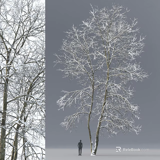 Snow Covered Tree Branches in Winter With White Frost and Natural Look 3d model 