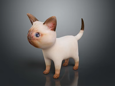 Cute Siamese Kitten With Blue Eyes Light Colored Body And Dark Ears Tail Paws 3d model