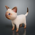 Cute Siamese Kitten With Blue Eyes Light Colored Body And Dark Ears Tail Paws