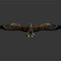 Modern Eagle Sculpture 3d model