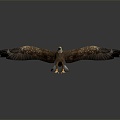 Modern Eagle Eagle Sculpture 3d model