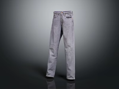 Gray Straight Leg Jeans For Casual Everyday Wear With Comfortable Fit 3d model