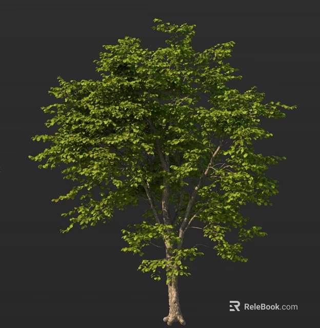 Lush Green Arbor With Dense Foliage And Sturdy Trunk In Natural Scene 3d model 