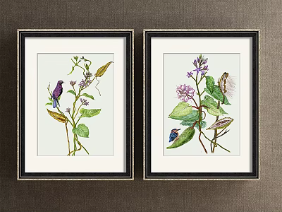 Framed Botanical Art Paintings With Plants Leaves Flowers And Butterflies 3d model