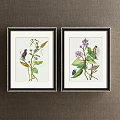 Framed Botanical Art Paintings With Plants Leaves Flowers And Butterflies