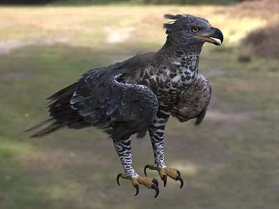 Majestic Eagle Flying with Spread Wings and Sharp Talons in Natural Habitat 3d model