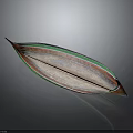 Traditional Handmade Leaf Shaped Wooden Watercraft with Green Red Edges and Smooth Hull Surface