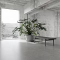 Modern Public Office Space Interior With Open Layout Desks Chairs Green Plants And Natural Light