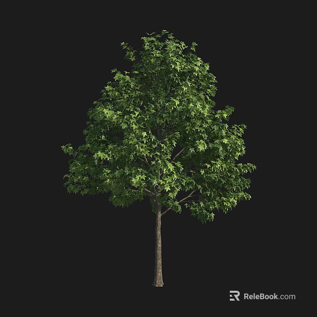 Lush Green Arbor with Dense Foliage and Strong Trunk Against Black Background 3d model 