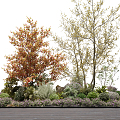 Modern shrub plant landscape cluster 3d model