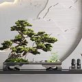 Chinese Style Pine Bonsai Tree On Decorative Shelf With Cloud Pattern Wall And Small Ornaments 3d model