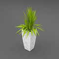 Elegant Tall White Marble Vase With Lush Green Long Leaf Plant For Interior Decor